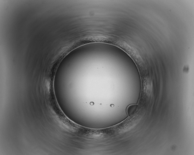 X0000097920206200803211535