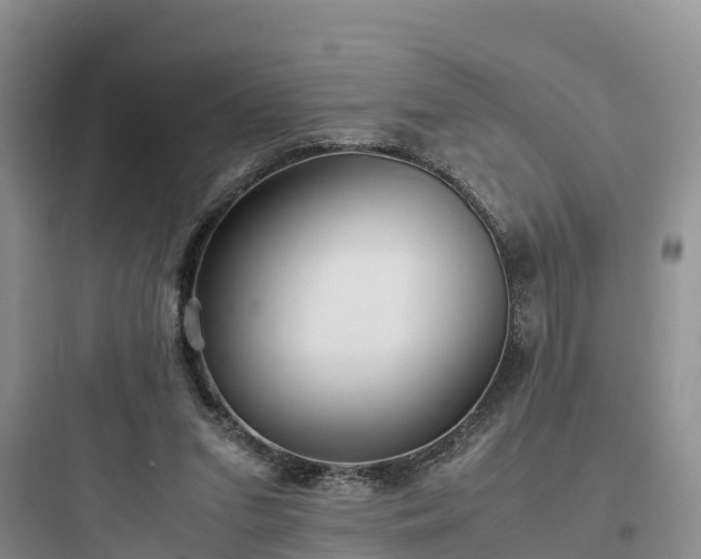 X0000097920207200803211535