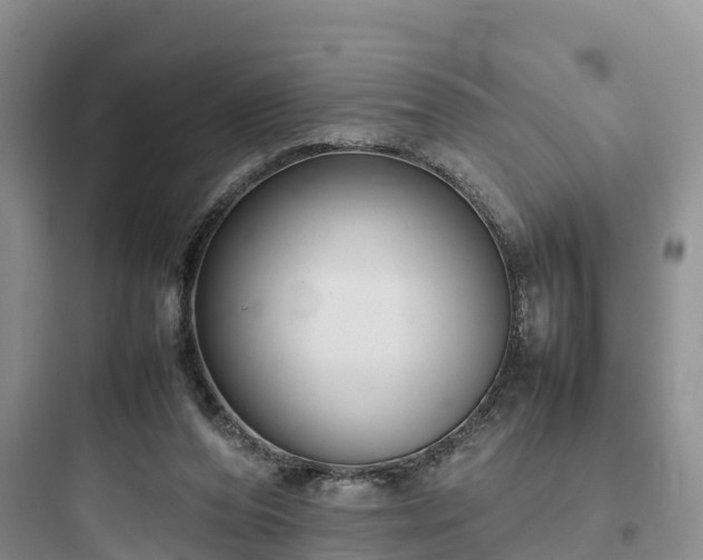 X0000097920208200803211535