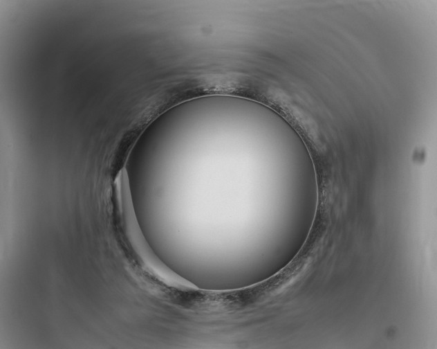 X0000097920209200803211535