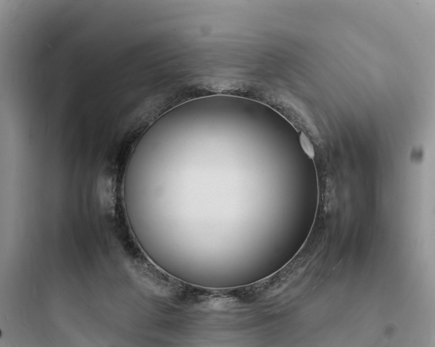 X0000097920210200803211535