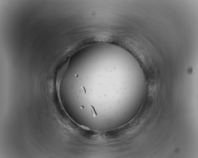 X0000097920211200803211535