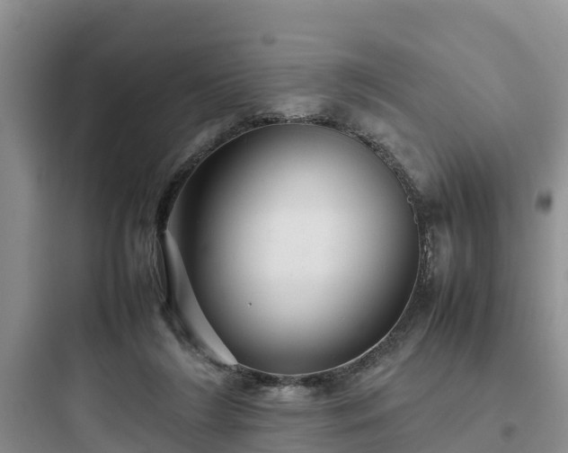 X0000097920212200803211535