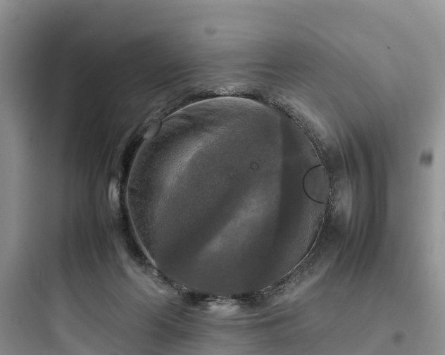 X0000097920214200803211535