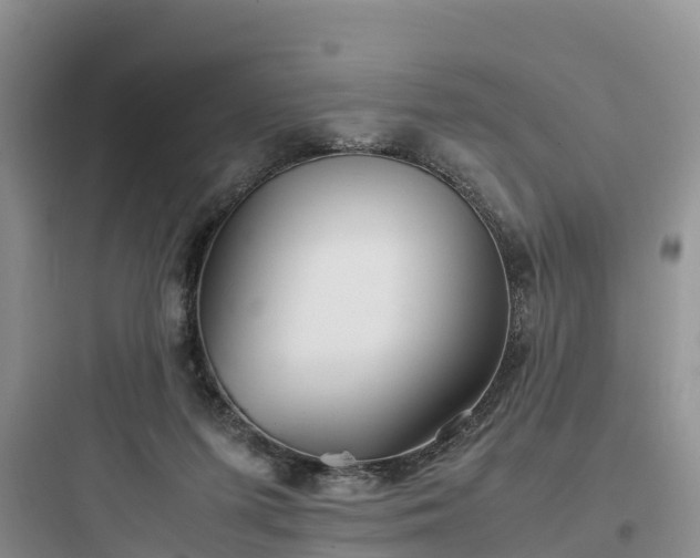 X0000097920215200803211535