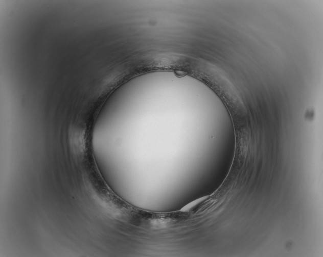 X0000097920216200803211535