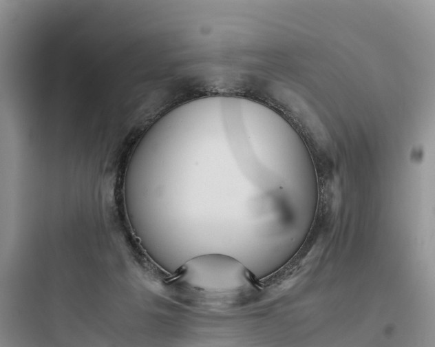 X0000097920217200803211535