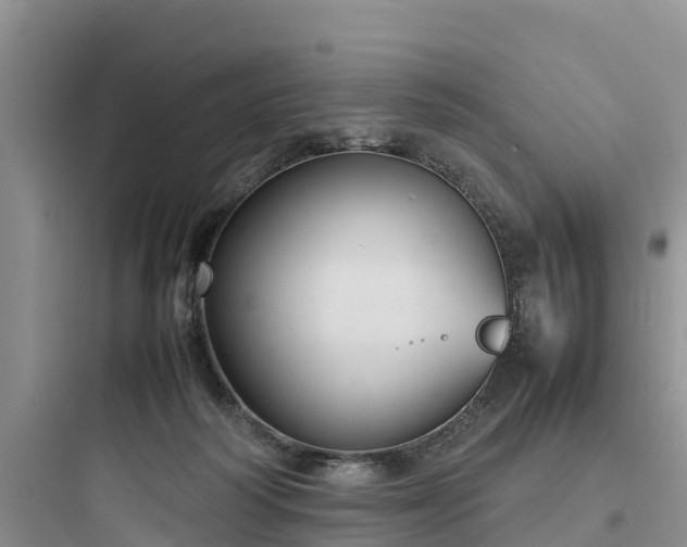 X0000097920218200803211535