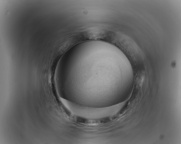 X0000097920219200803211535