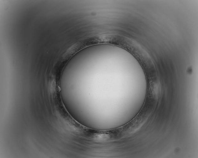 X0000097920220200803211535