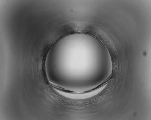 X0000097920221200803211535