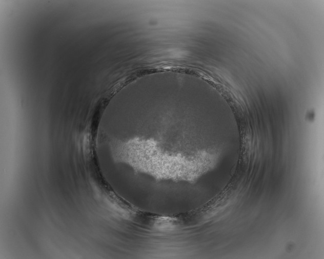 X0000097920222200803211534