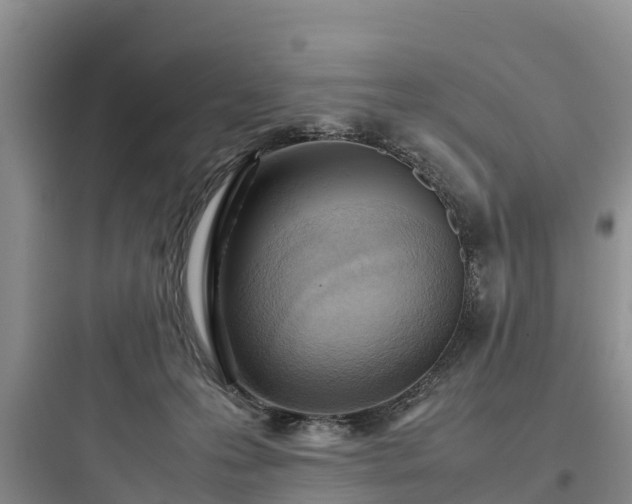 X0000097920223200803211534