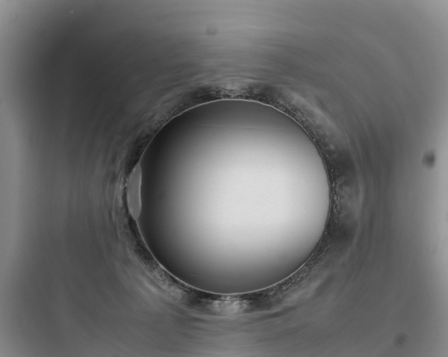X0000097920225200803211534