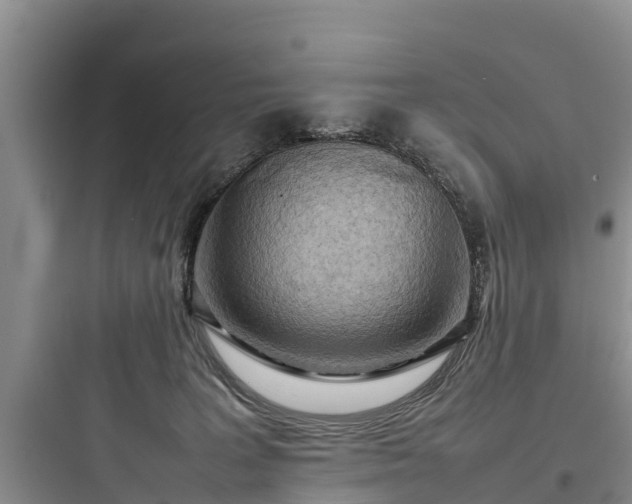 X0000097920227200803211534