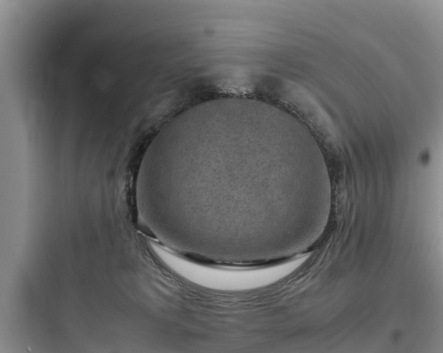X0000097920229200803211534