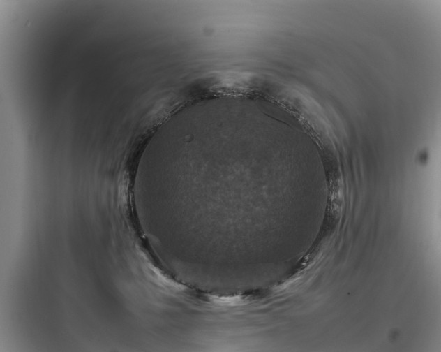 X0000097920231200803211534