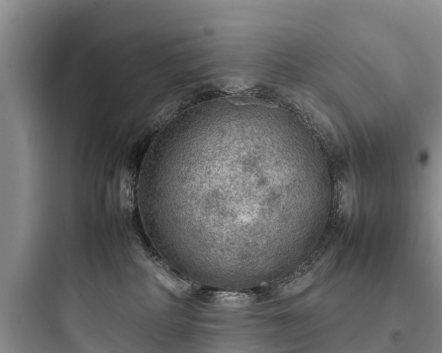 X0000097920234200803211534