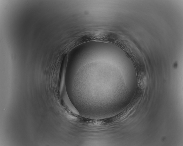 X0000097920235200803211534