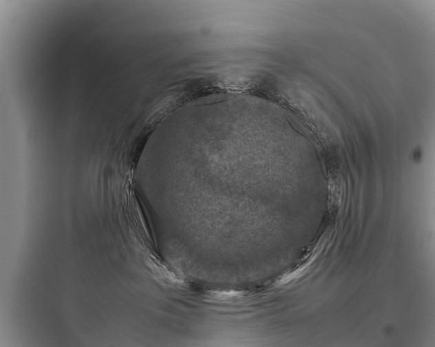 X0000097920237200803211534