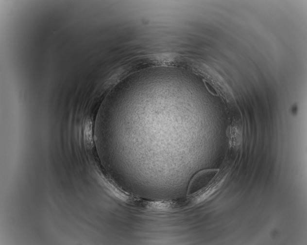 X0000097920238200803211534