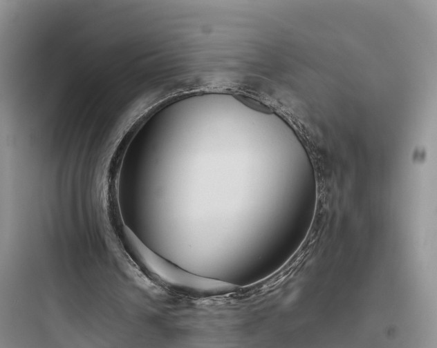 X0000097920242200803211534