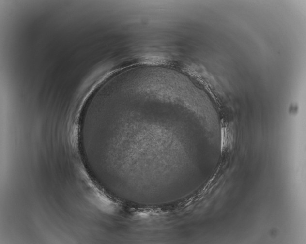 X0000097920243200803211534
