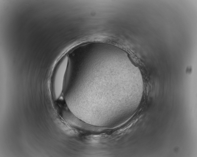 X0000097920244200803211534