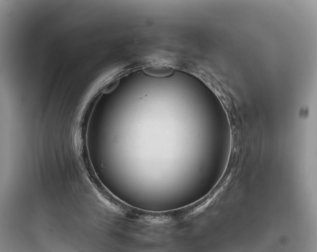 X0000097920245200803211534