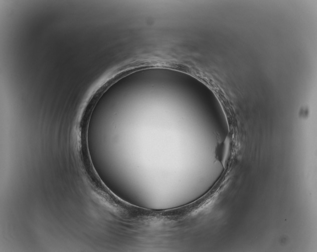 X0000097920246200803211534