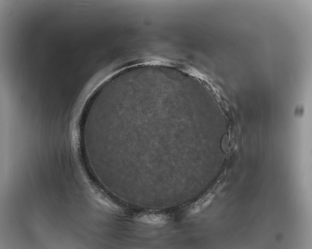 X0000097920247200803211534