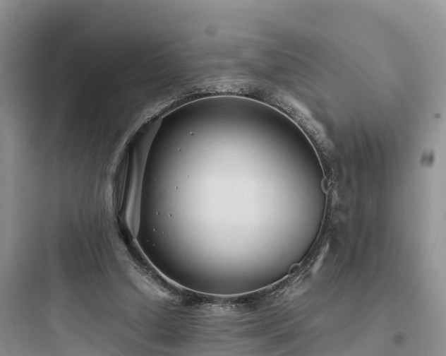 X0000097920250200803211534