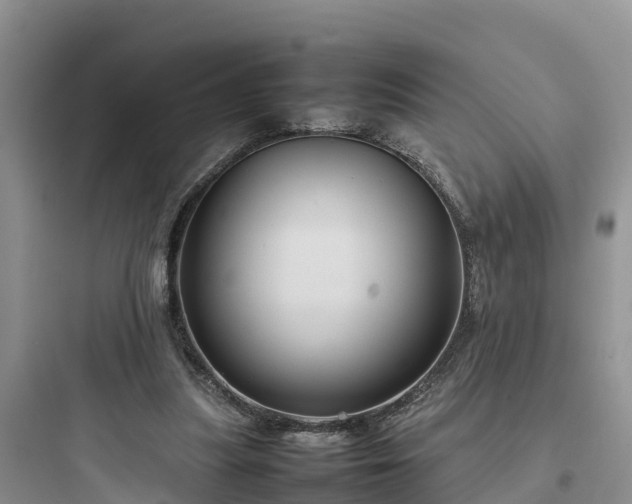 X0000097920251200803211534