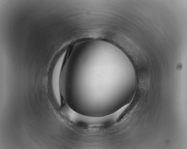 X0000097920256200803211534