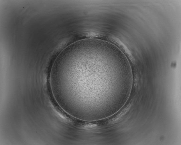 X0000097920257200803211534
