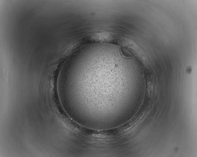 X0000097920259200803211534
