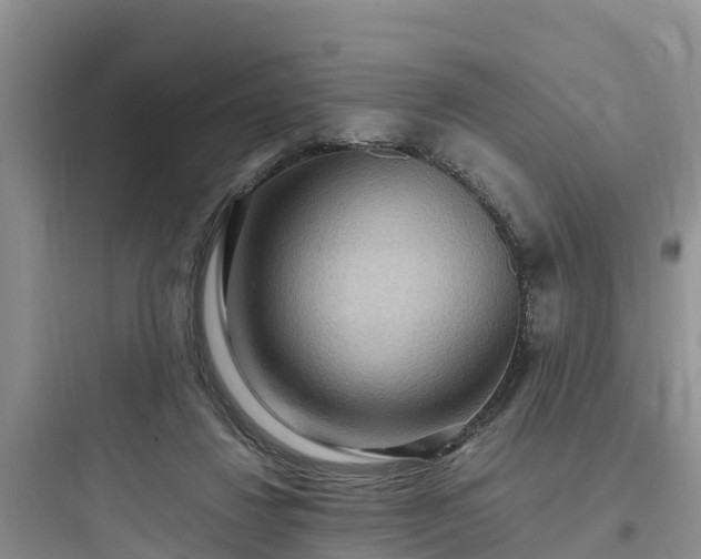 X0000097920260200803211534