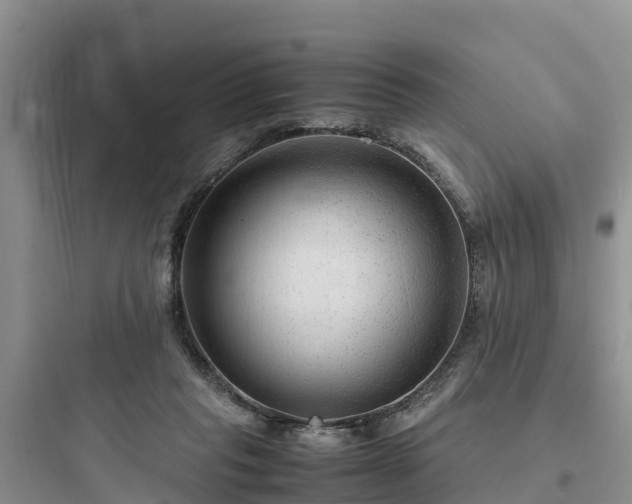 X0000097920261200803211534