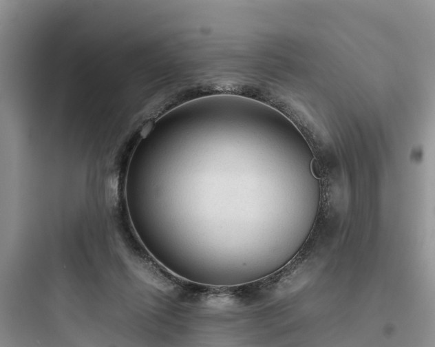 X0000097920262200803211534