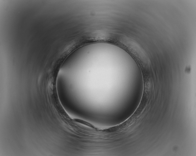X0000097920264200803211534