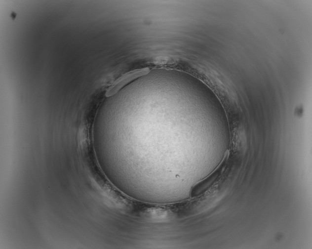 X0000097920272200803211534
