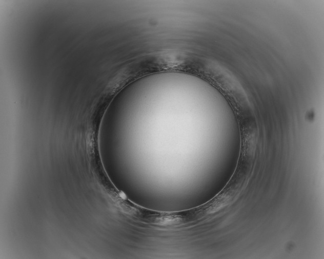 X0000097920274200803211534