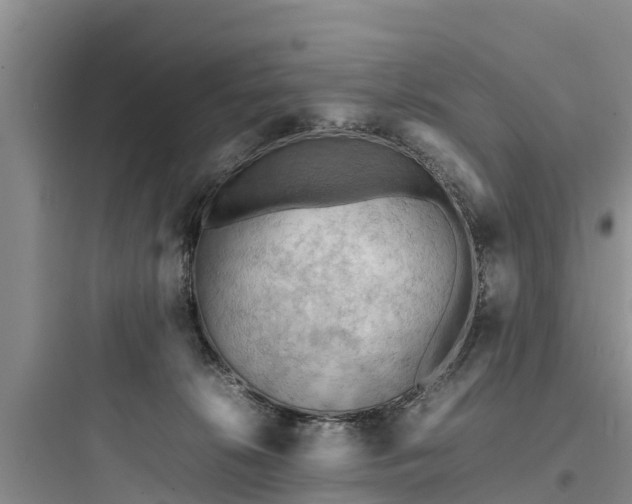 X0000097920276200803211534