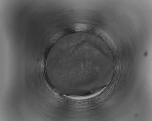X0000097920277200803211534