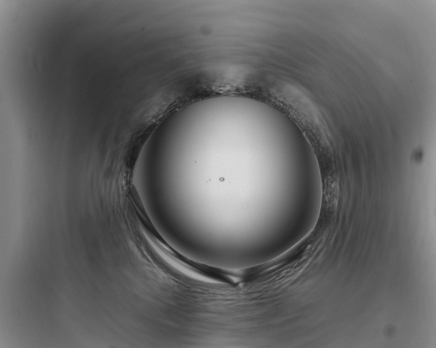 X0000097920280200803211534
