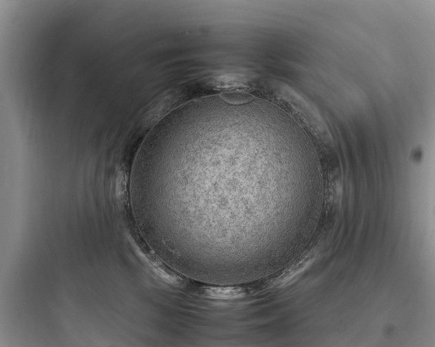 X0000097920281200803211534