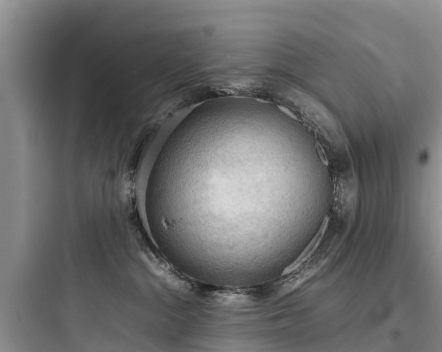 X0000097920284200803211534