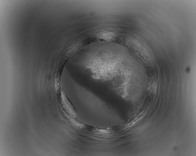 X0000097920285200803211534