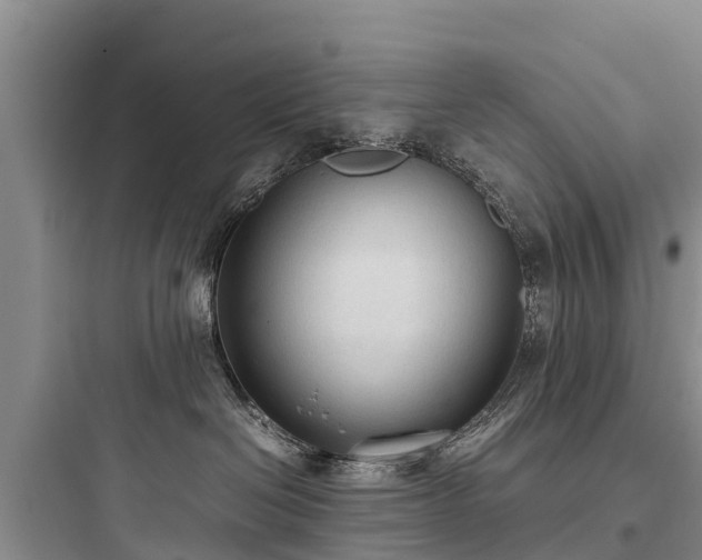 X0000097920286200803211534