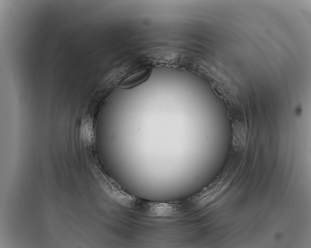 X0000097920287200803211534